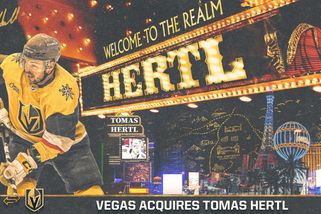 Hertl se vrátil na led po vážném zranění. Touží po Stanley Cupu, Češi o něj nejspíš přijdou